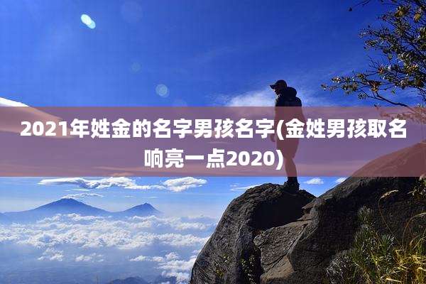 2021年姓金的名字男孩名字(金姓男孩取名响亮一点2020)