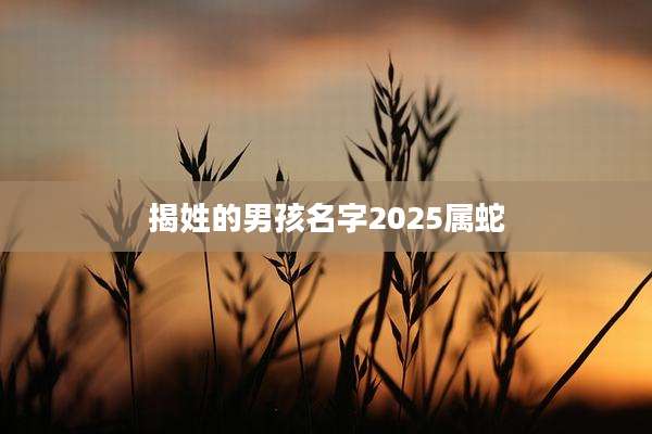 揭姓的男孩名字2025属蛇