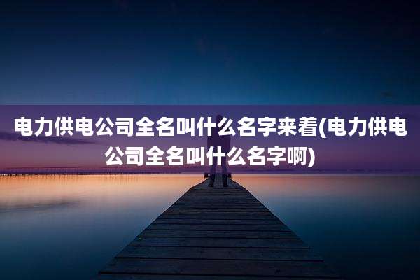 电力供电公司全名叫什么名字来着(电力供电公司全名叫什么名字啊)