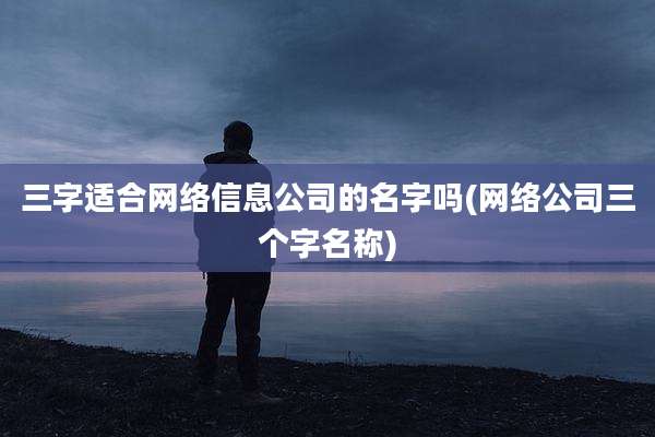 三字适合网络信息公司的名字吗(网络公司三个字名称)