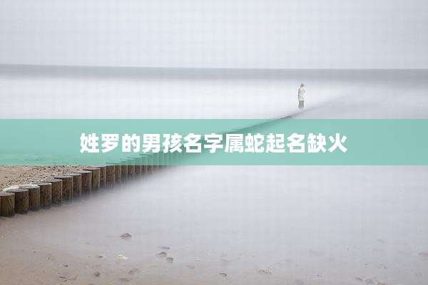 姓罗的男孩名字属蛇起名缺火