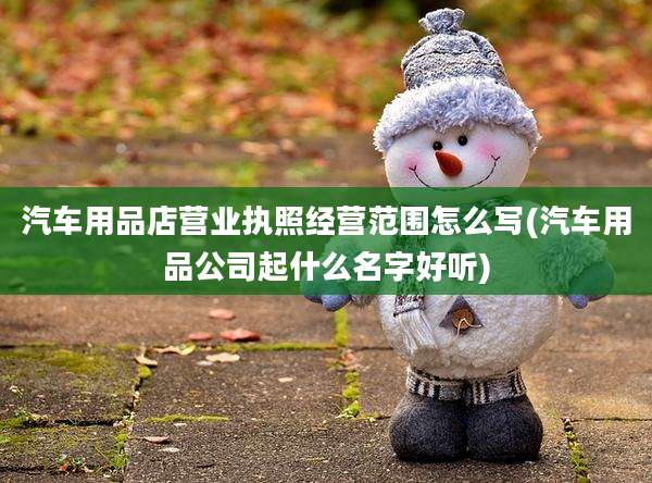 汽车用品店营业执照经营范围怎么写(汽车用品公司起什么名字好听)