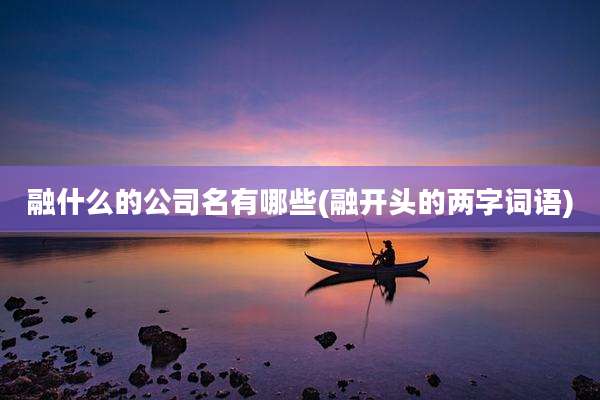 融什么的公司名有哪些(融开头的两字词语)