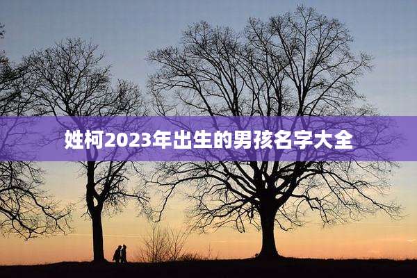 姓柯2023年出生的男孩名字大全