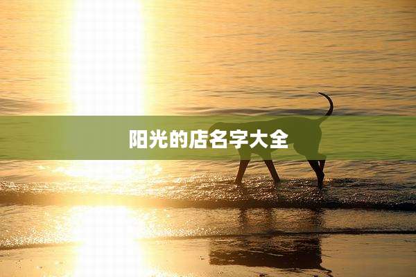 阳光的店名字大全