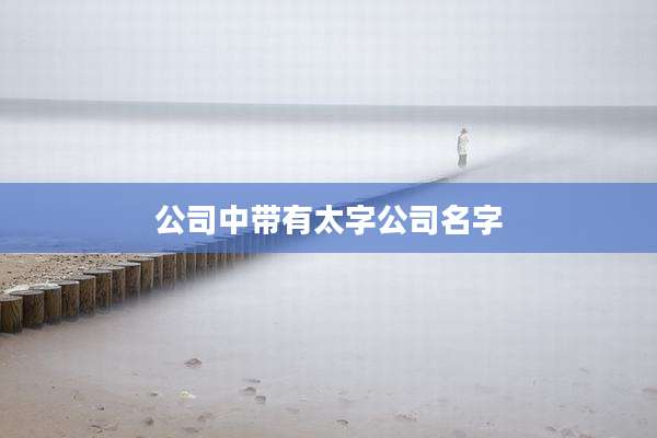 公司中带有太字公司名字