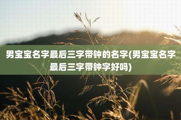 男宝宝名字最后三字带钟的名字(男宝宝名字最后三字带钟字好吗)