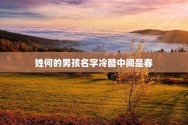 姓何的男孩名字冷酷中间是春