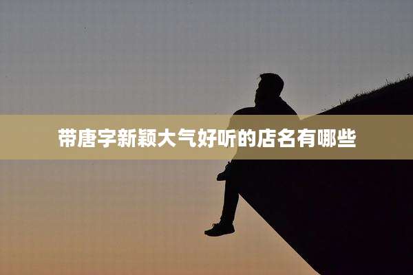 带唐字新颖大气好听的店名有哪些
