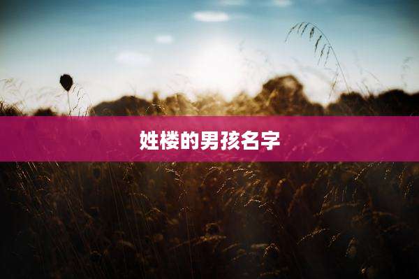姓楼的男孩名字