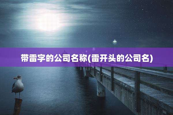 带雷字的公司名称(雷开头的公司名)