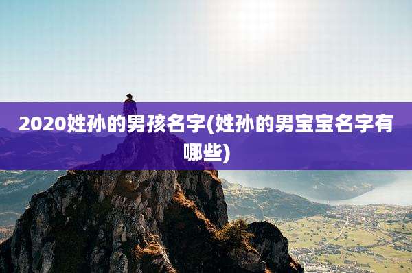 2020姓孙的男孩名字(姓孙的男宝宝名字有哪些)