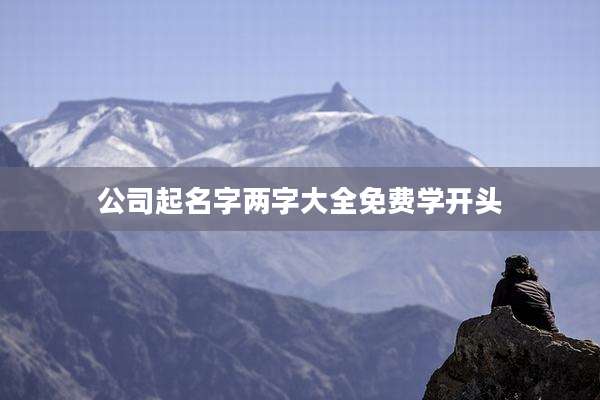 公司起名字两字大全免费学开头