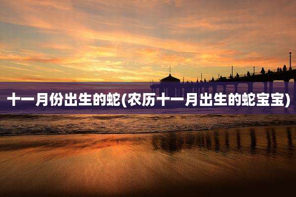 十一月份出生的蛇(农历十一月出生的蛇宝宝)