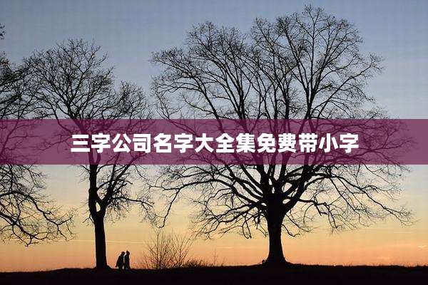 三字公司名字大全集免费带小字