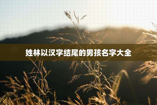 姓林以汉字结尾的男孩名字大全