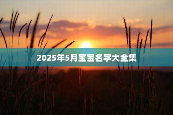 2025年5月宝宝名字大全集