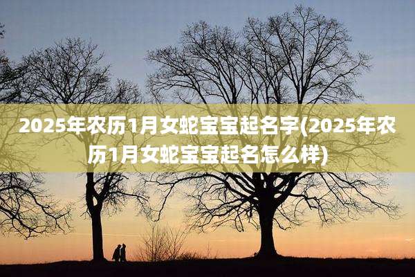 2025年农历1月女蛇宝宝起名字(2025年农历1月女蛇宝宝起名怎么样)