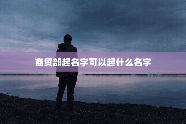 商贸部起名字可以起什么名字