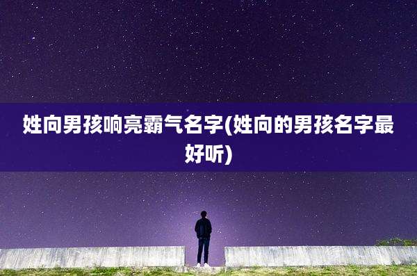 姓向男孩响亮霸气名字(姓向的男孩名字最好听)