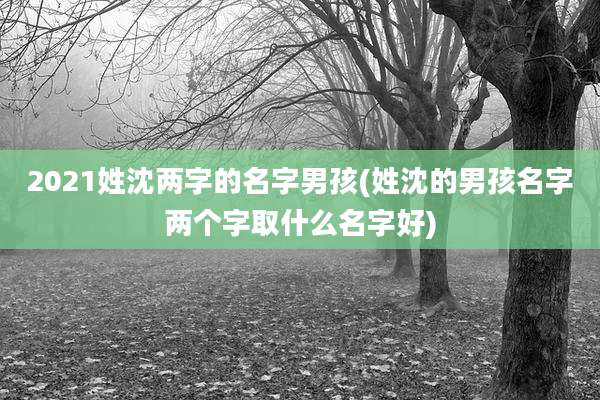 2021姓沈两字的名字男孩(姓沈的男孩名字两个字取什么名字好)
