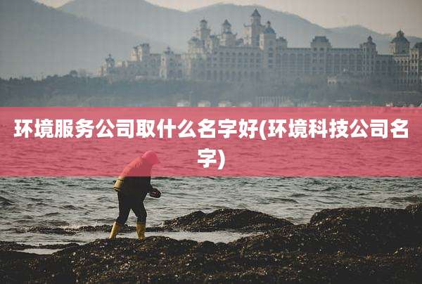 环境服务公司取什么名字好(环境科技公司名字)