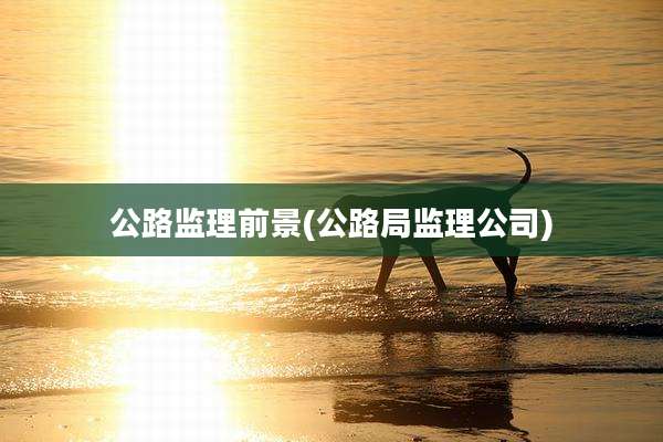 公路监理前景(公路局监理公司)