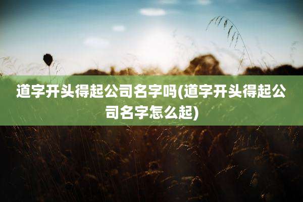 道字开头得起公司名字吗(道字开头得起公司名字怎么起)