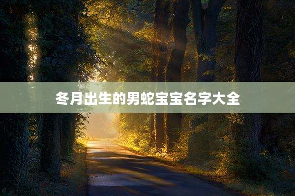 冬月出生的男蛇宝宝名字大全