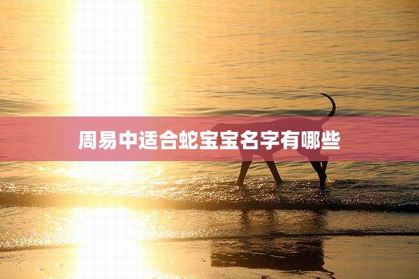 周易中适合蛇宝宝名字有哪些