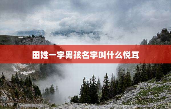 田姓一字男孩名字叫什么悦耳