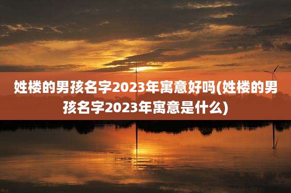 姓楼的男孩名字2023年寓意好吗(姓楼的男孩名字2023年寓意是什么)