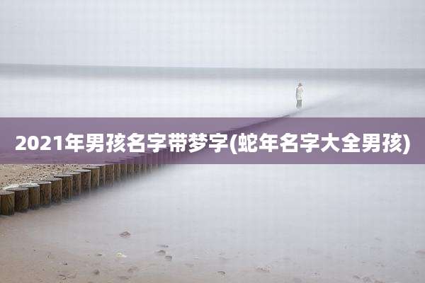 2021年男孩名字带梦字(蛇年名字大全男孩)