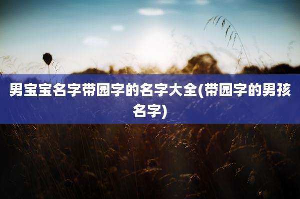 男宝宝名字带园字的名字大全(带园字的男孩名字)