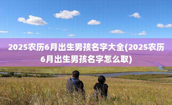 2025农历6月出生男孩名字大全(2025农历6月出生男孩名字怎么取)