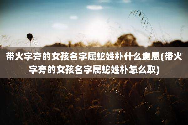 带火字旁的女孩名字属蛇姓朴什么意思(带火字旁的女孩名字属蛇姓朴怎么取)