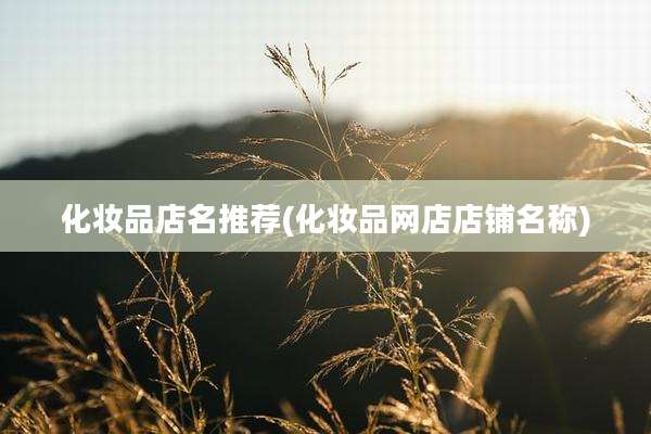 化妆品店名推荐(化妆品网店店铺名称)