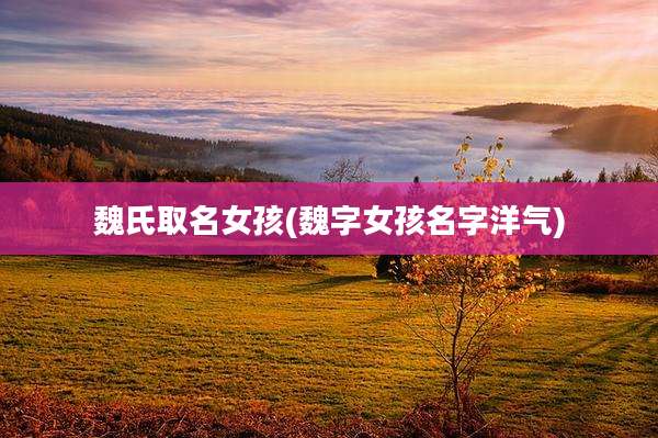 魏氏取名女孩(魏字女孩名字洋气)
