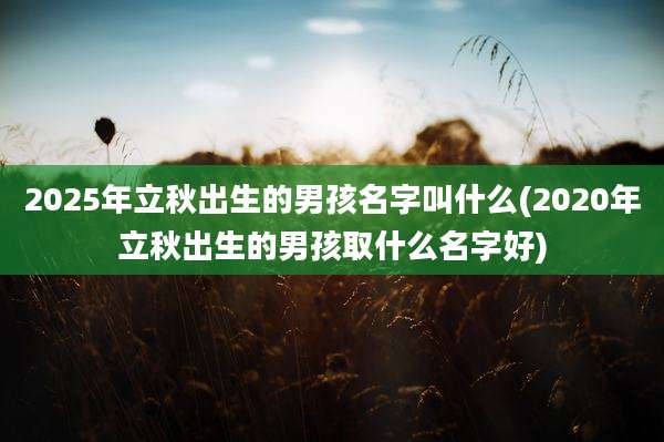 2025年立秋出生的男孩名字叫什么(2020年立秋出生的男孩取什么名字好)