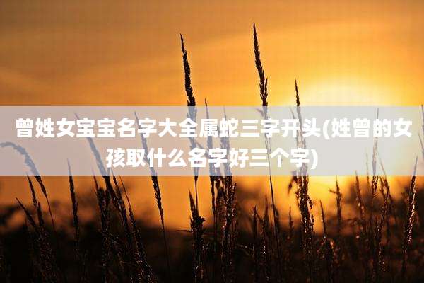 曾姓女宝宝名字大全属蛇三字开头(姓曾的女孩取什么名字好三个字)