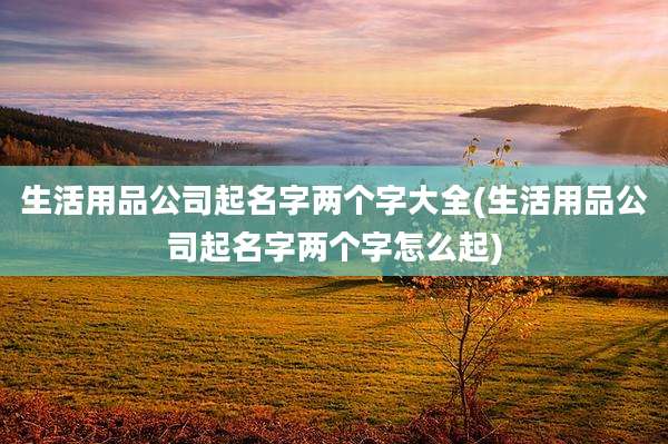 生活用品公司起名字两个字大全(生活用品公司起名字两个字怎么起)