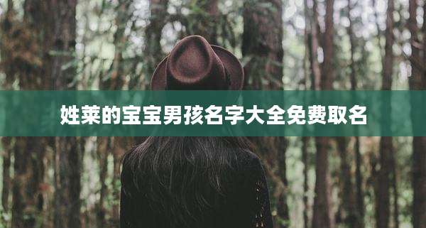 姓莱的宝宝男孩名字大全免费取名
