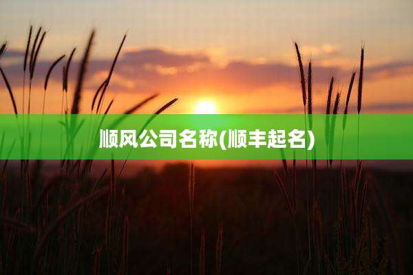 顺风公司名称(顺丰起名)