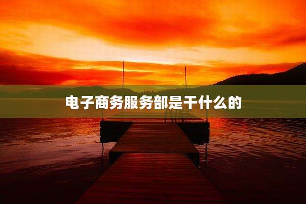 电子商务服务部是干什么的