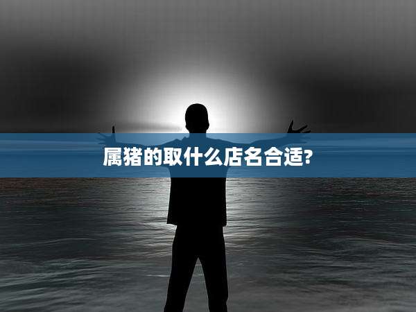 属猪的取什么店名合适?