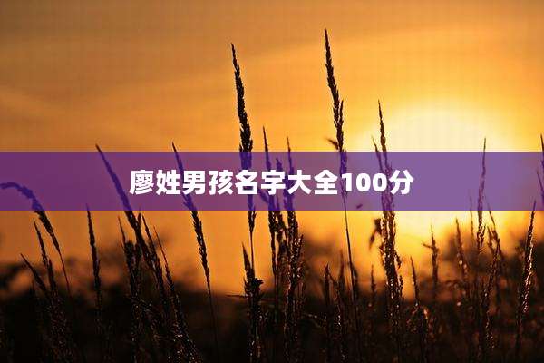 廖姓男孩名字大全100分