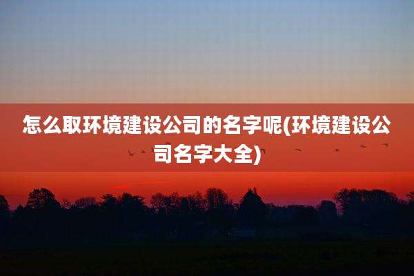 怎么取环境建设公司的名字呢(环境建设公司名字大全)