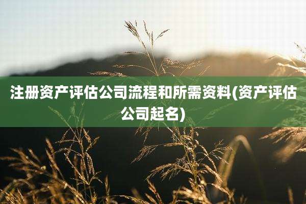 注册资产评估公司流程和所需资料(资产评估公司起名)