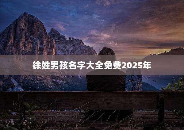 徐姓男孩名字大全免费2025年