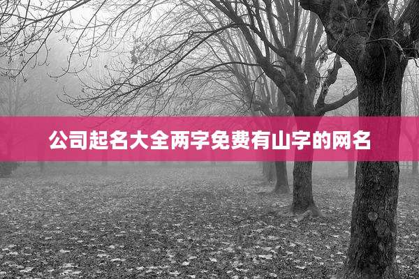 公司起名大全两字免费有山字的网名
